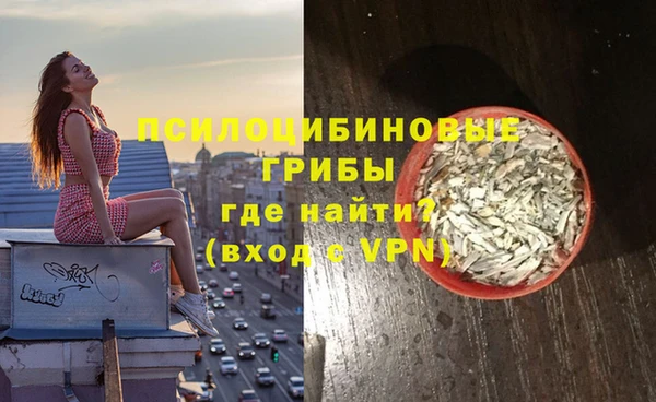 ALPHA PVP Аркадак