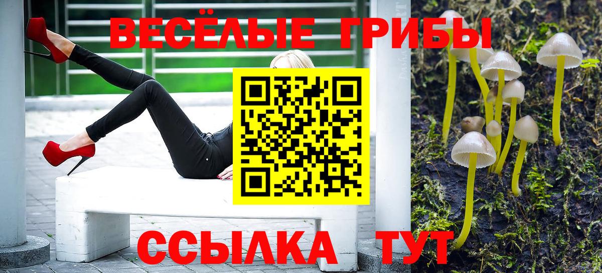 Галлюциногенные грибы мицелий  Вход с VPN  цены   Ессентуки 