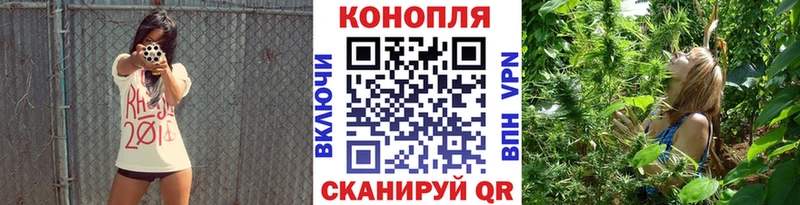 Марихуана сатива где можно купить Ессентуки